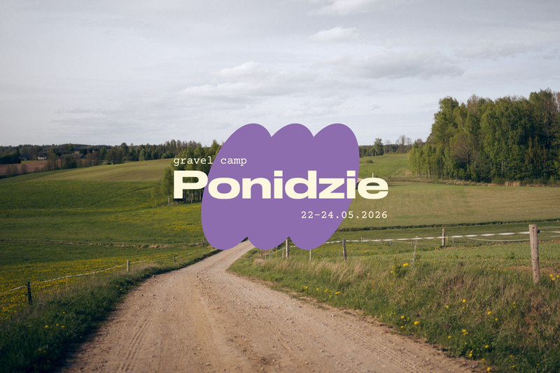 Ponidzie